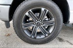 2021 F-150 Thumbnail 9