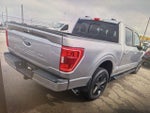 2021 F-150 Thumbnail 2