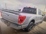 2021 F-150 Thumbnail 15