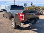 2022 F-150 Thumbnail 6