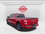 2022 F-150 Thumbnail 8