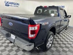 2022 F-150 Thumbnail 4