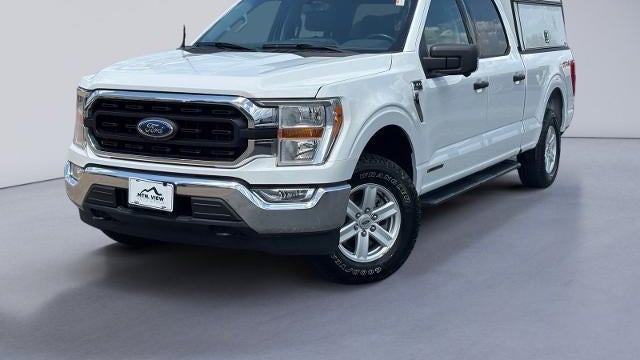 Preowned 2022 Ford F-150 Limited for Sale