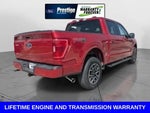2022 F-150 Thumbnail 6