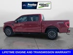 2022 F-150 Thumbnail 9