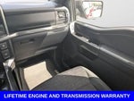 2022 F-150 Thumbnail 19
