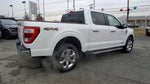 2023 F-150 Thumbnail 8