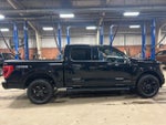 2023 F-150 Thumbnail 6