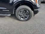 2023 F-150 Thumbnail 37