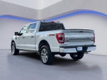 2023 F-150 Thumbnail 11