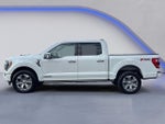 2023 F-150 Thumbnail 12