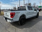 2023 F-150 Thumbnail 4