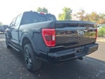 2023 F-150 Thumbnail 4