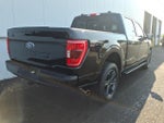 2023 F-150 Thumbnail 6