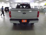 2023 F-150 Thumbnail 4