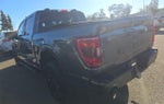 2023 F-150 Thumbnail 4