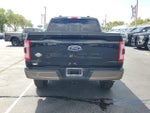 2023 F-150 Thumbnail 8