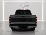 2023 F-150 Thumbnail 4