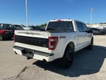2023 F-150 Thumbnail 4