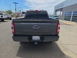 2023 F-150 Thumbnail 4