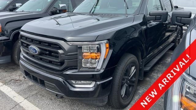 Preowned 2023 Ford F-150 XL for Sale