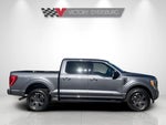 2023 F-150 Thumbnail 9