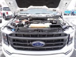 2023 F-150 Thumbnail 16