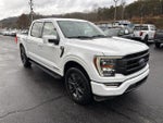 2023 F-150 Thumbnail 4