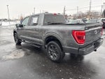 2023 F-150 Thumbnail 17
