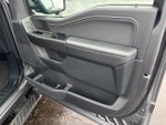 2023 F-150 Thumbnail 8