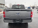 2023 F-150 Thumbnail 15