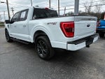 2023 F-150 Thumbnail 6