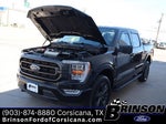 2023 F-150 Thumbnail 12