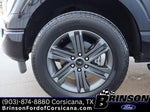 2023 F-150 Thumbnail 13