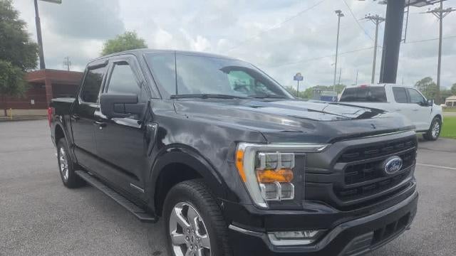 Preowned 2023 Ford F-150 Limited for Sale