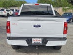 2023 F-150 Thumbnail 4