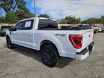 2023 F-150 Thumbnail 5