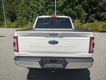 2023 F-150 Thumbnail 4
