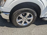 2023 F-150 Thumbnail 11