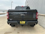 2023 F-150 Thumbnail 5