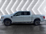 2023 F-150 Thumbnail 3