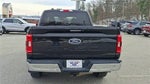 2023 F-150 Thumbnail 7