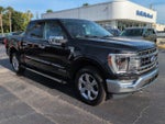 2021 F-150 Thumbnail 2