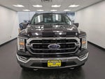2021 F-150 Thumbnail 2
