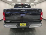 2021 F-150 Thumbnail 5