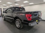 2021 F-150 Thumbnail 6