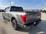 2021 F-150 Thumbnail 7