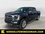 2021 F-150 Thumbnail 1