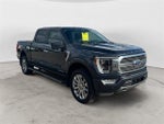 2021 F-150 Thumbnail 7