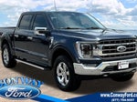 2021 F-150 Thumbnail 2